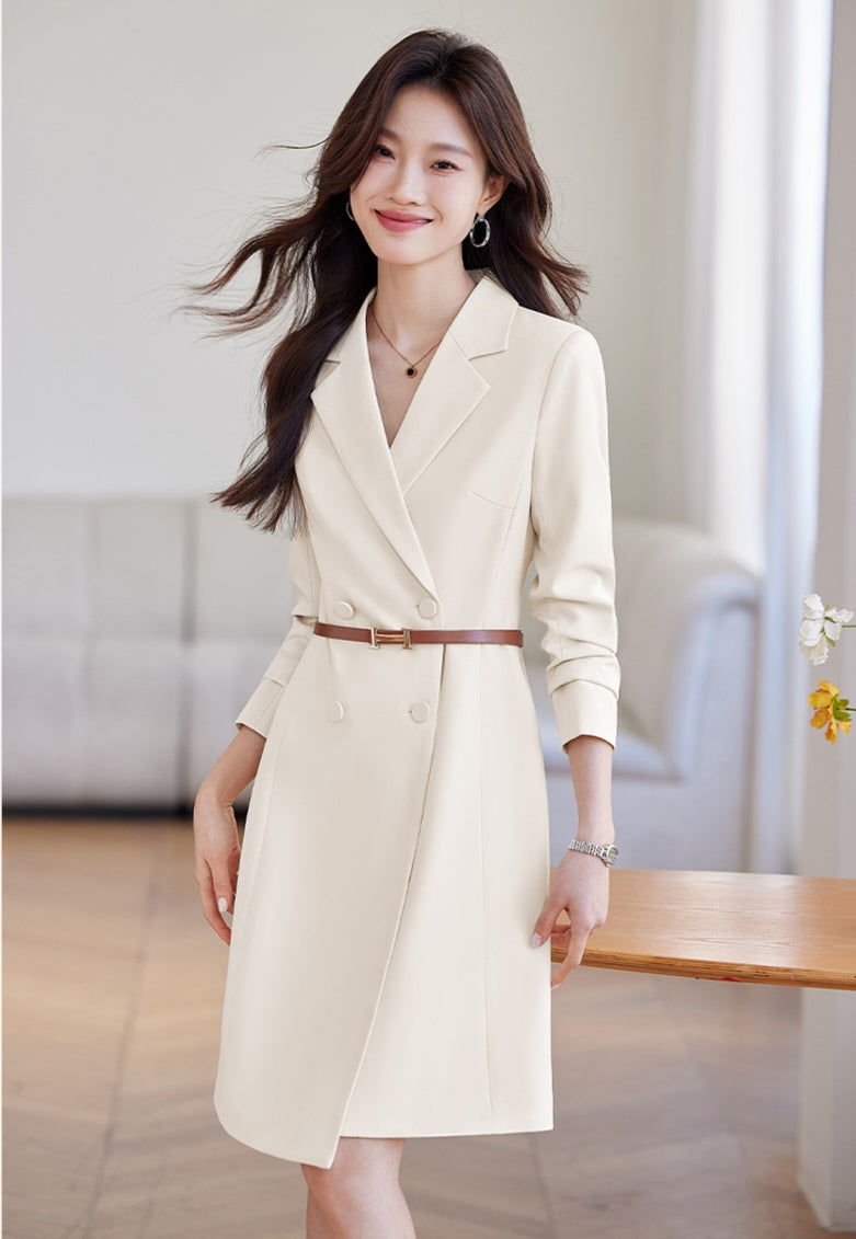 Suit Collar Office Wear Dress