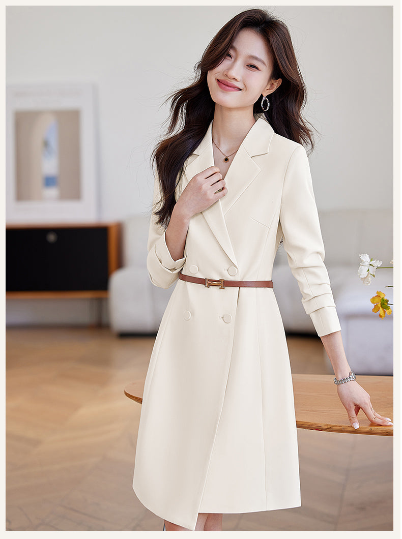 Suit Collar Office Wear Dress
