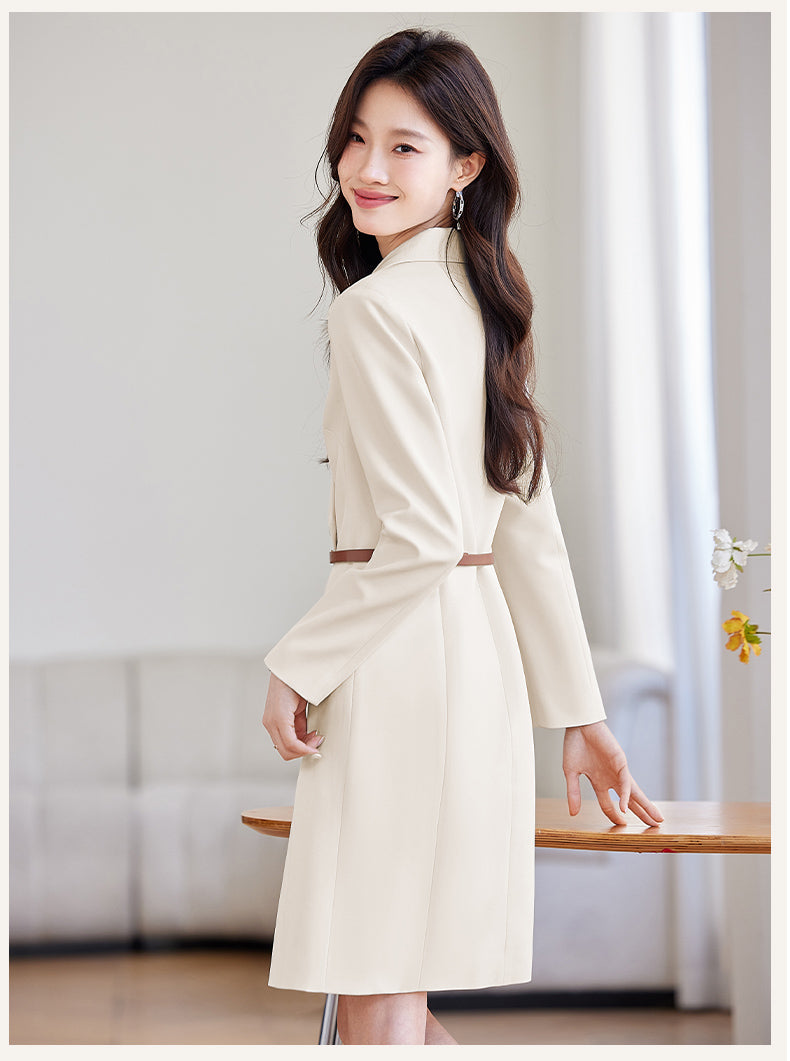 Suit Collar Office Wear Dress