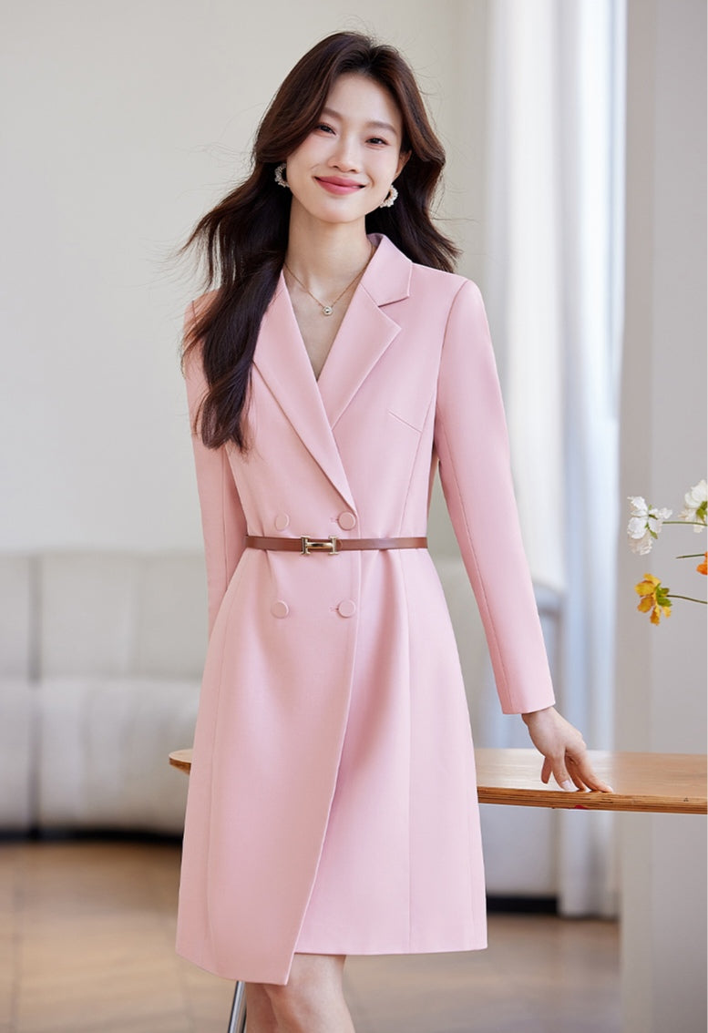 Suit Collar Office Wear Dress
