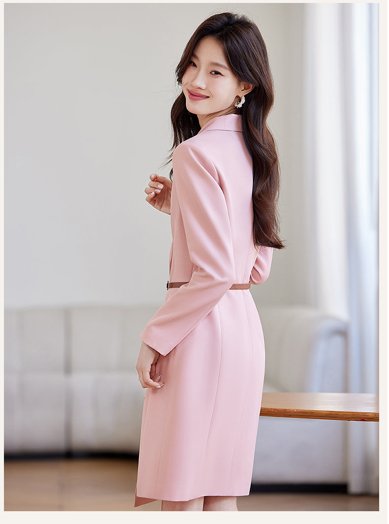 Suit Collar Office Wear Dress