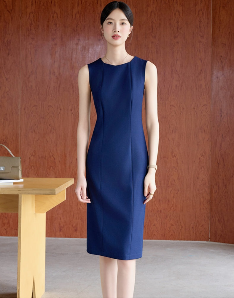 Sleek and Elegant Sleeveless Work Dress