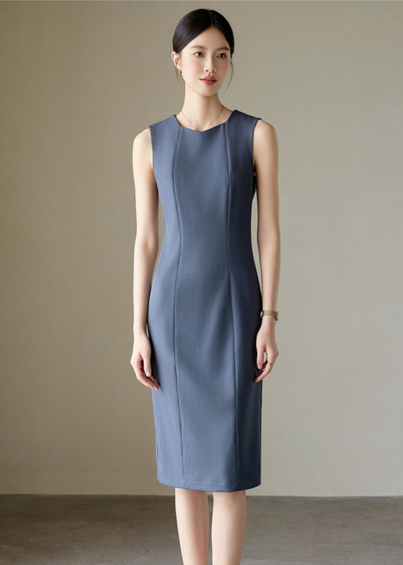 Sleek and Elegant Sleeveless Work Dress