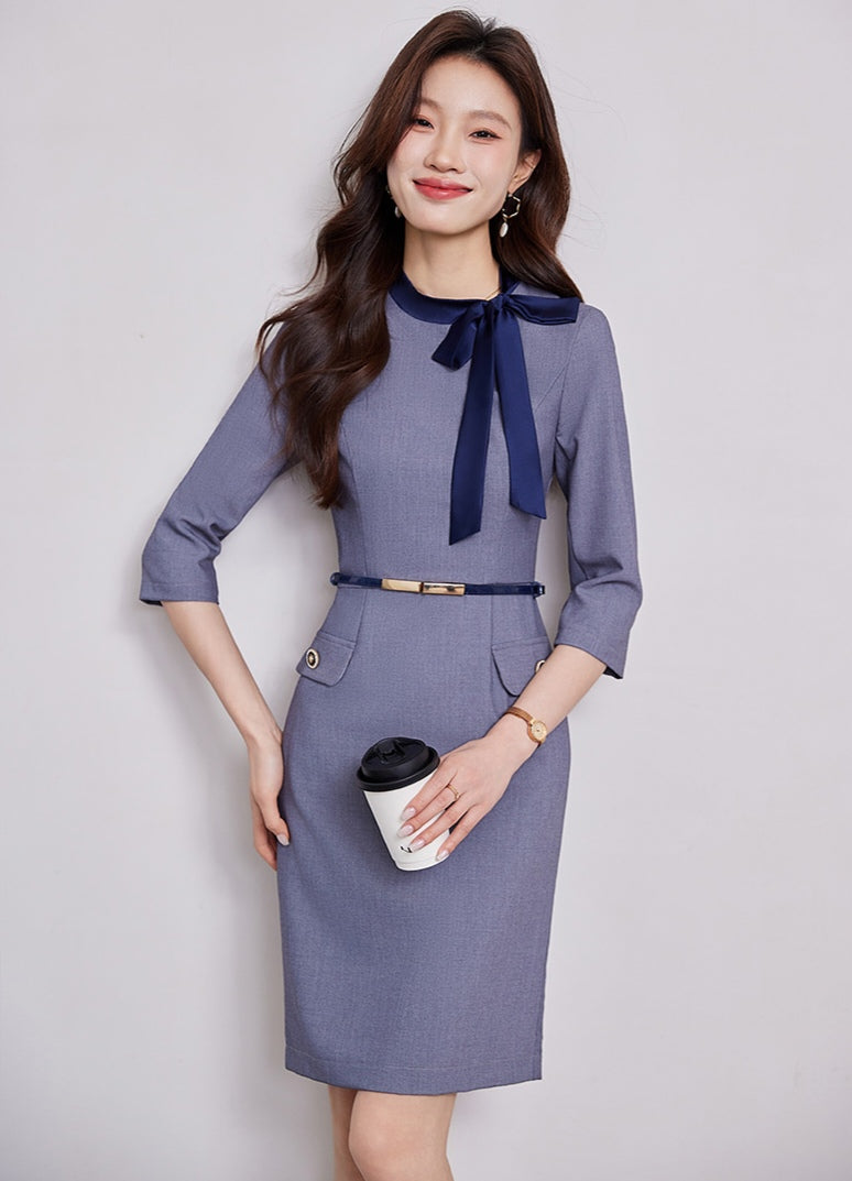 Professional Temperament Dress