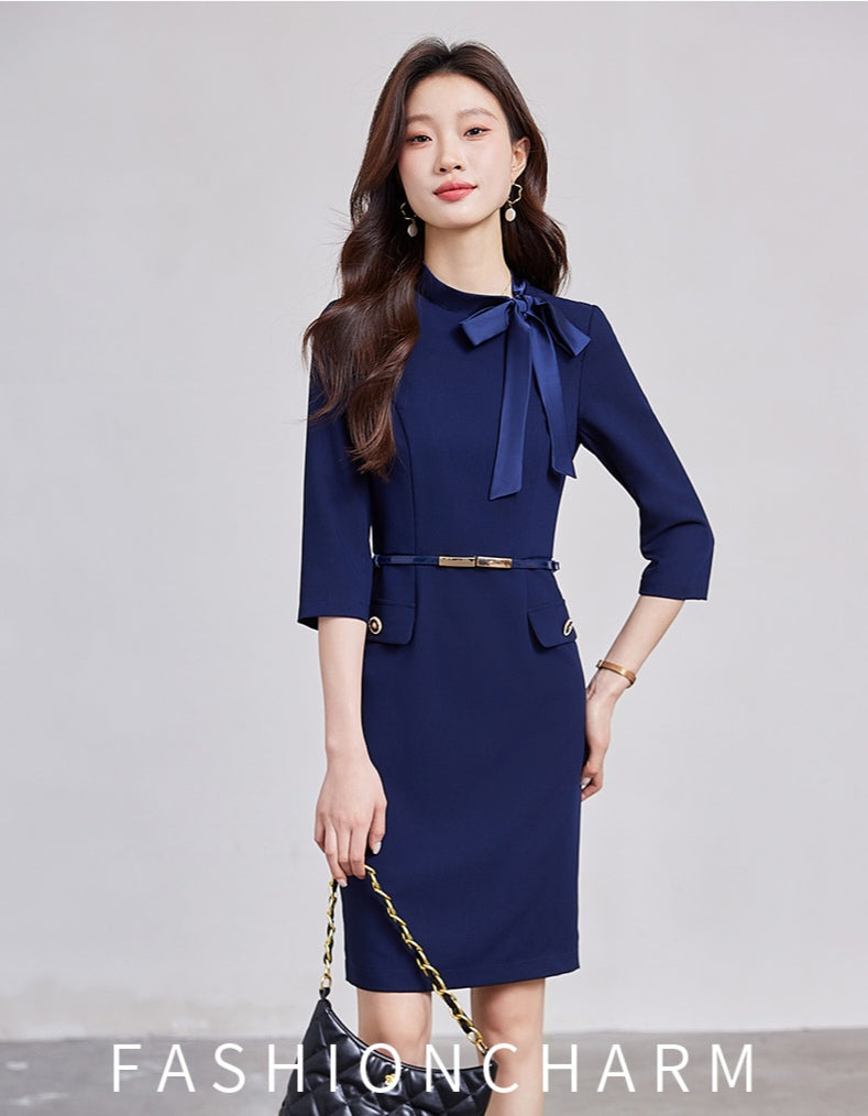 Professional Temperament Dress