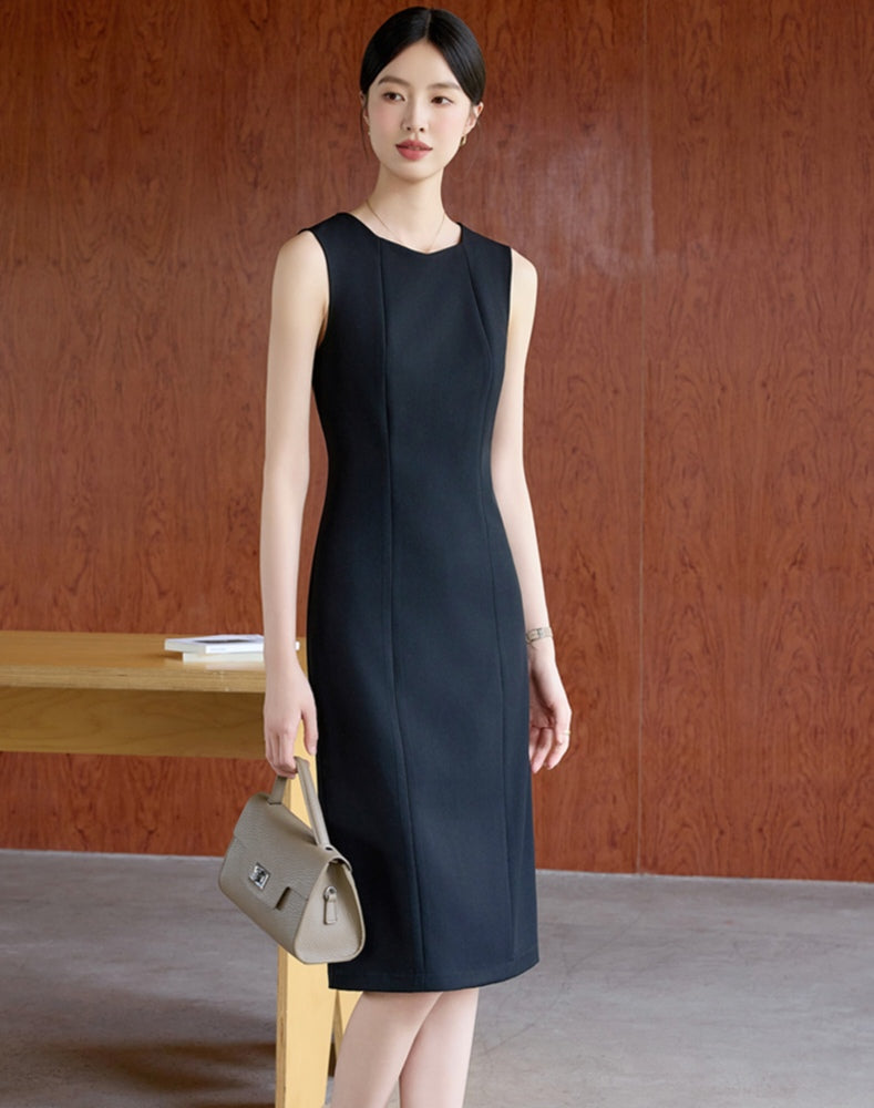 Sleek and Elegant Sleeveless Work Dress