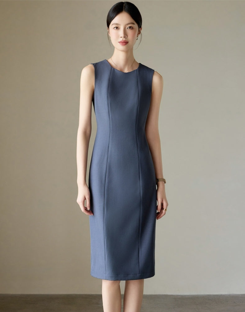 Sleek and Elegant Sleeveless Work Dress