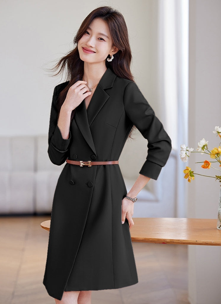 Suit Collar Office Wear Dress