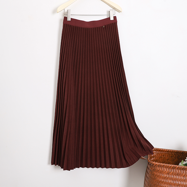 Versatile Classic Style Pleated Skirt