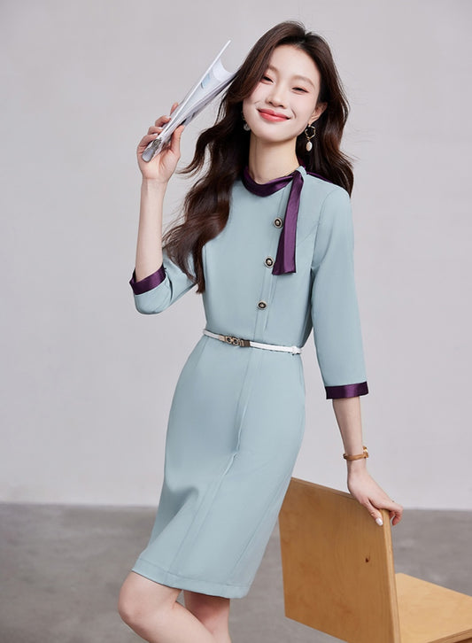 Professional Slim Bow Neck Dress